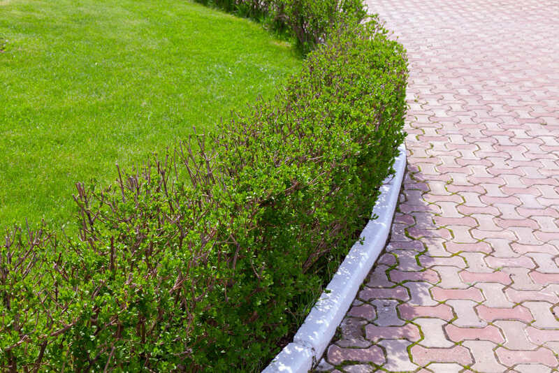 Montaż obrzeży bez fundamentu