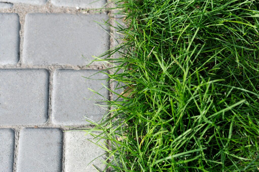 poznaj błędy przy montażu obrzeży