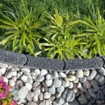 Jak obrzeża wpływają na wzrost roślin